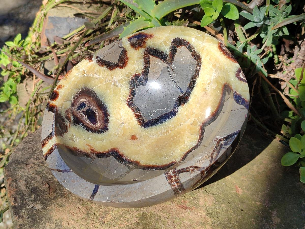 Polished Large Septerye Bowl x 1 From Mahajanga, Madagascar - Toprock Gemstones and Minerals 