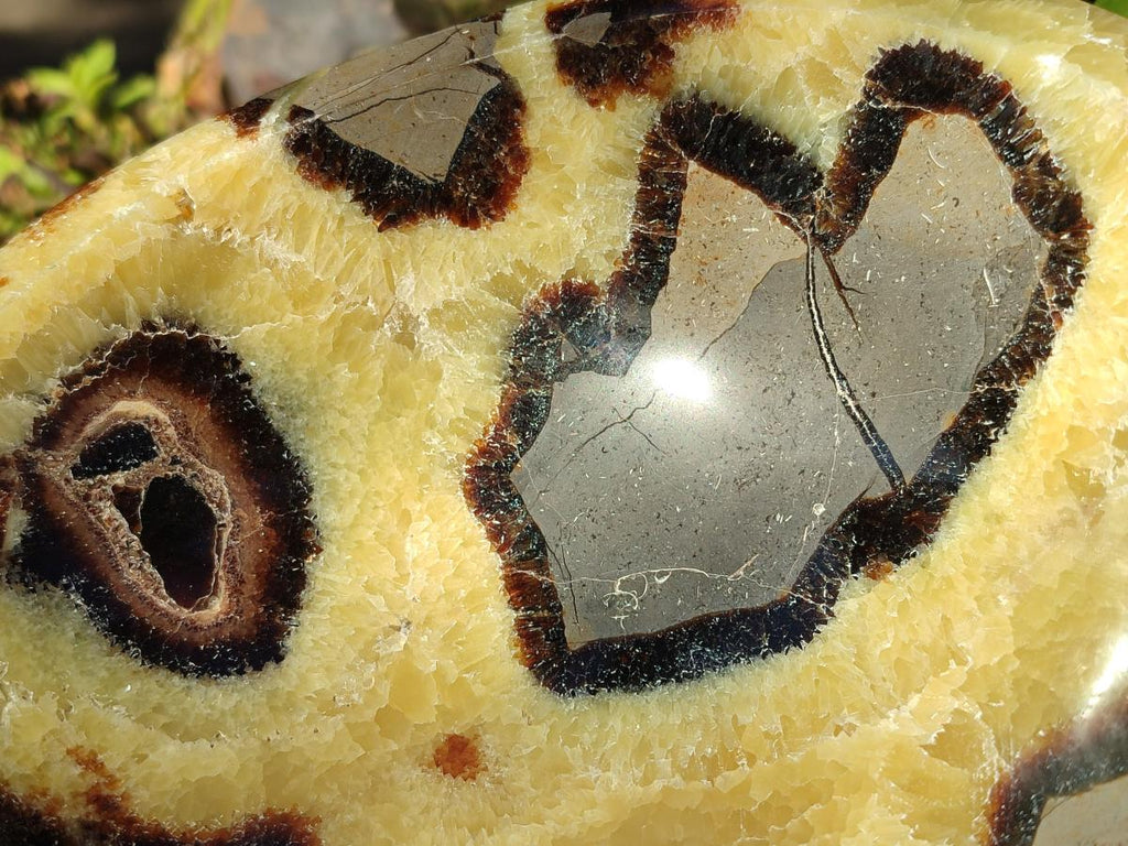 Polished Large Septerye Bowl x 1 From Mahajanga, Madagascar - Toprock Gemstones and Minerals 