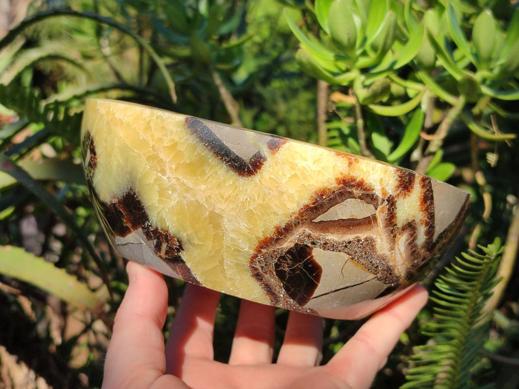 Polished Large Septerye Bowl x 1 From Mahajanga, Madagascar - Toprock Gemstones and Minerals 