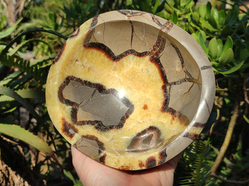 Polished Large Septerye Bowl x 1 From Mahajanga, Madagascar - Toprock Gemstones and Minerals 