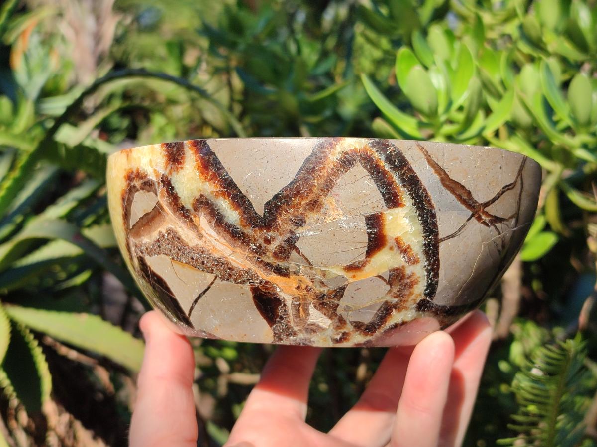 Polished Large Septerye Bowl x 1 From Mahajanga, Madagascar - Toprock Gemstones and Minerals 