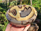 Polished Large Septerye Bowl x 1 From Mahajanga, Madagascar - Toprock Gemstones and Minerals 