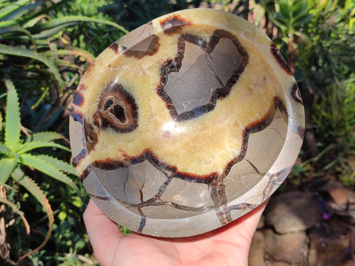 Polished Large Septerye Bowl x 1 From Mahajanga, Madagascar - Toprock Gemstones and Minerals 