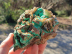 Natural Rare Bladed Barite Specimens with Malachite  x 2 From Shangulowé Mine, Congo - Toprock Gemstones and Minerals 