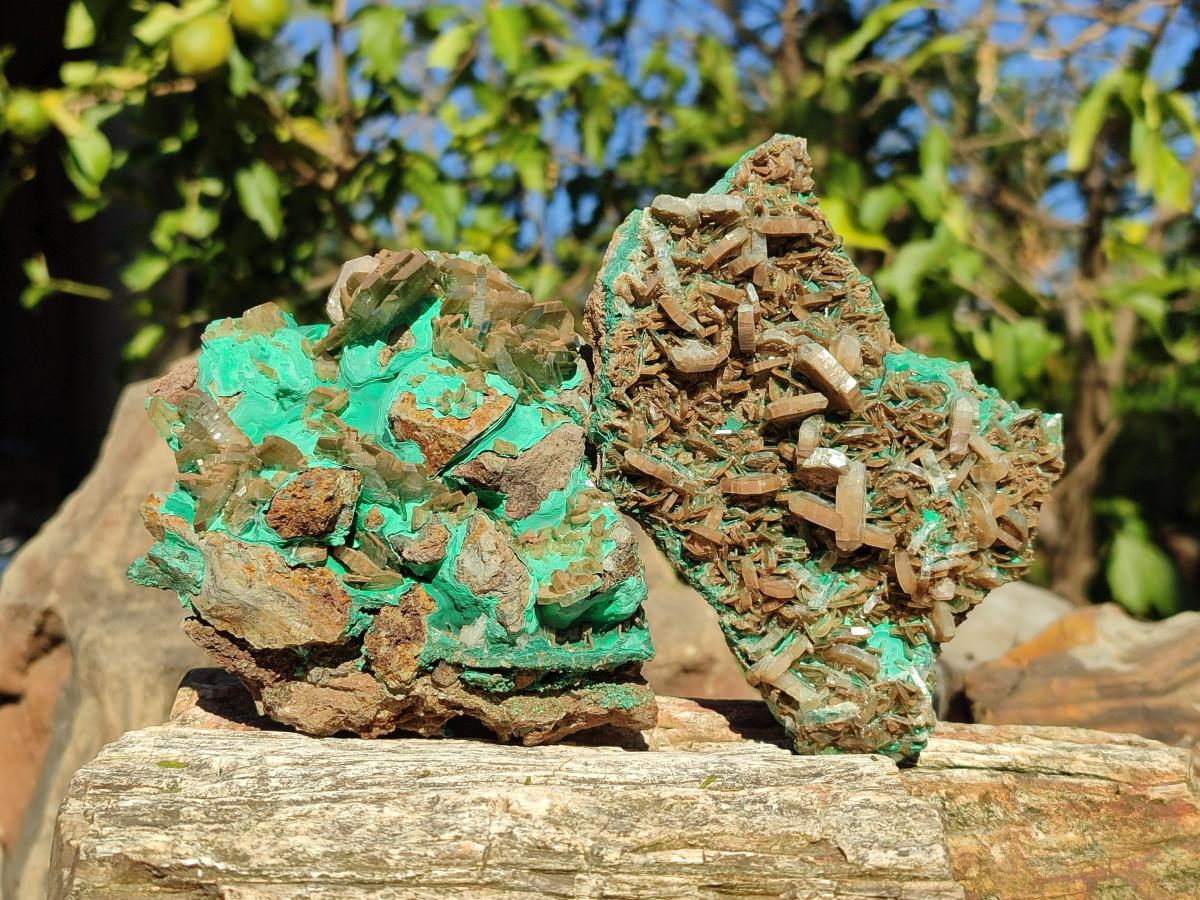Natural Rare Bladed Barite Specimens with Malachite  x 2 From Shangulowé Mine, Congo - Toprock Gemstones and Minerals 