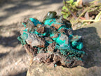 Natural Rare Bladed Barite Specimens with Malachite  x 2 From Shangulowé Mine, Congo - Toprock Gemstones and Minerals 