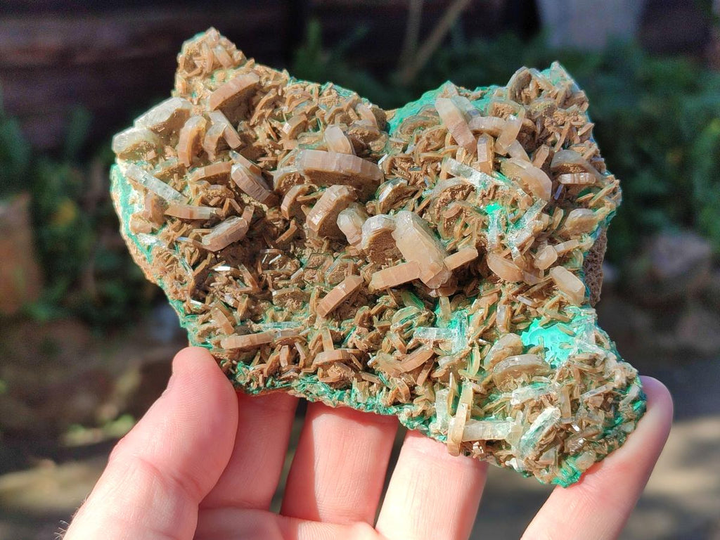 Natural Rare Bladed Barite Specimens with Malachite  x 2 From Shangulowé Mine, Congo - Toprock Gemstones and Minerals 