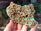 Natural Rare Bladed Barite Specimens with Malachite  x 2 From Shangulowé Mine, Congo - Toprock Gemstones and Minerals 