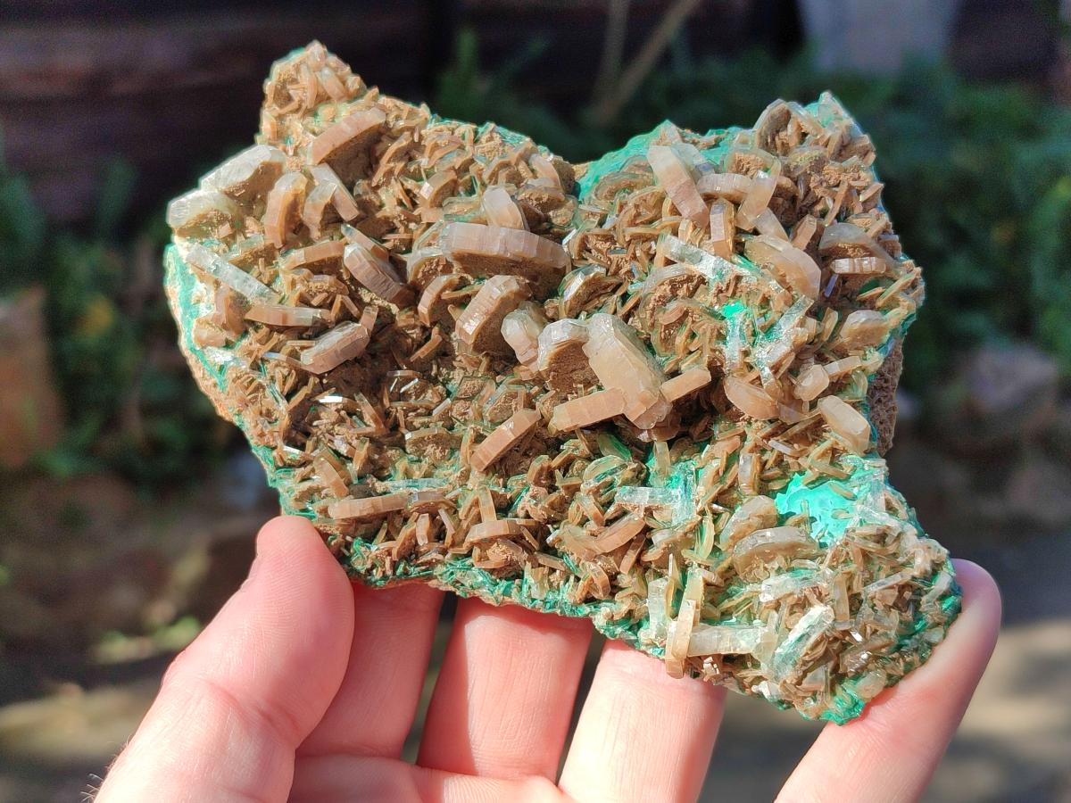 Natural Rare Bladed Barite Specimens with Malachite  x 2 From Shangulowé Mine, Congo - Toprock Gemstones and Minerals 