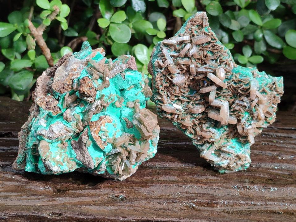 Natural Rare Bladed Barite Specimens with Malachite  x 2 From Shangulowé Mine, Congo - Toprock Gemstones and Minerals 