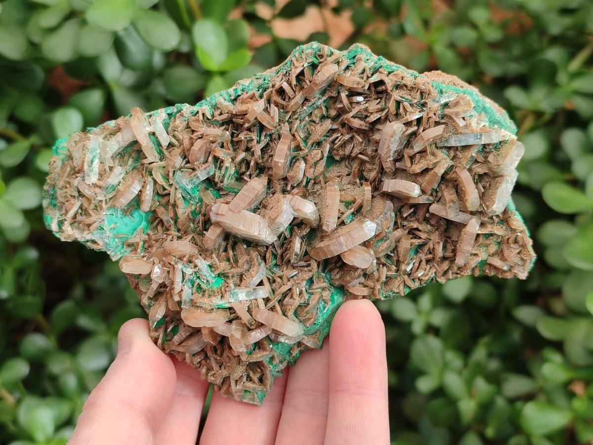 Natural Rare Bladed Barite Specimens with Malachite  x 2 From Shangulowé Mine, Congo - Toprock Gemstones and Minerals 