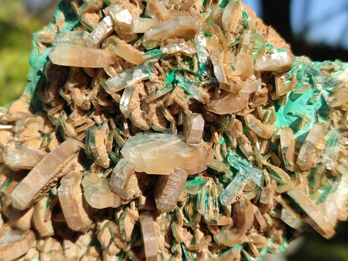 Natural Rare Bladed Barite Specimens with Malachite  x 2 From Shangulowé Mine, Congo - Toprock Gemstones and Minerals 