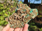 Natural Rare Bladed Barite Specimens with Malachite  x 2 From Shangulowé Mine, Congo - Toprock Gemstones and Minerals 