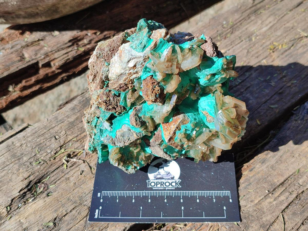 Natural Rare Bladed Barite Specimens with Malachite  x 2 From Shangulowé Mine, Congo - Toprock Gemstones and Minerals 