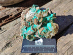 Natural Rare Bladed Barite Specimens with Malachite  x 2 From Shangulowé Mine, Congo - Toprock Gemstones and Minerals 