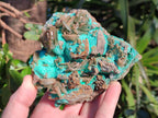 Natural Rare Bladed Barite Specimens with Malachite  x 2 From Shangulowé Mine, Congo - Toprock Gemstones and Minerals 