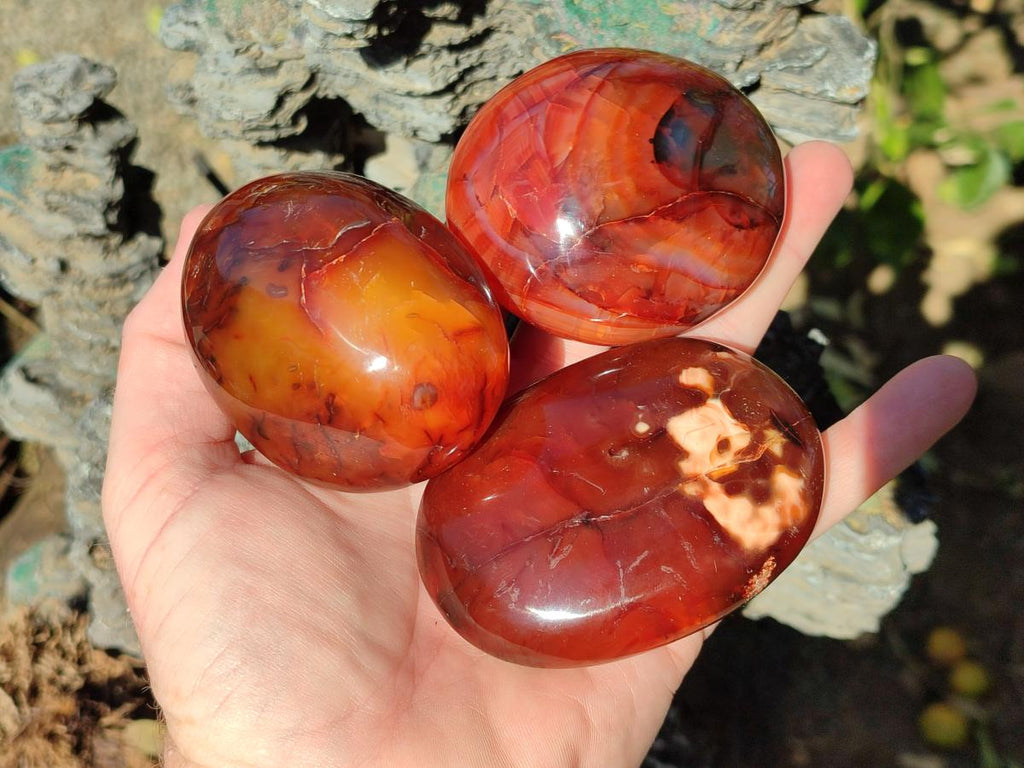 Polished Carnelian Agate Gemstone Galets x 6 From Madagascar - Toprock Gemstones and Minerals 