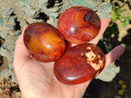 Polished Carnelian Agate Gemstone Galets x 6 From Madagascar - Toprock Gemstones and Minerals 