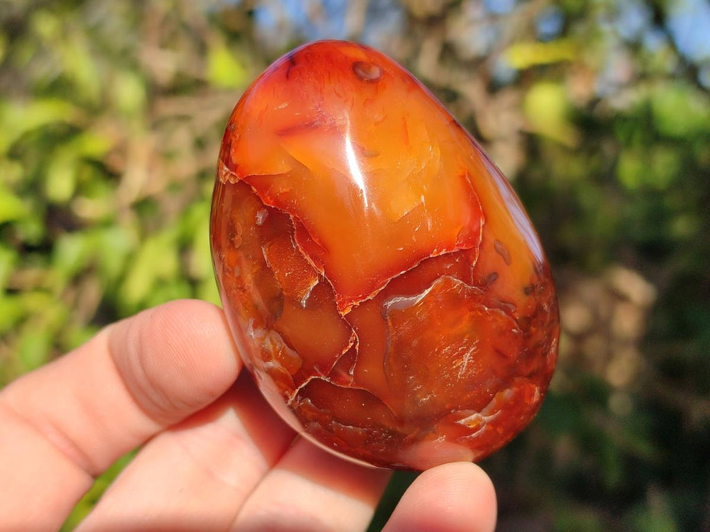 Polished Carnelian Agate Gemstone Galets x 6 From Madagascar - Toprock Gemstones and Minerals 