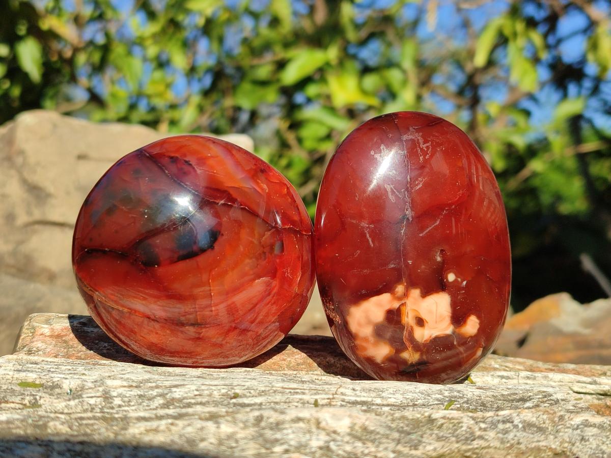 Polished Carnelian Agate Gemstone Galets x 6 From Madagascar - Toprock Gemstones and Minerals 