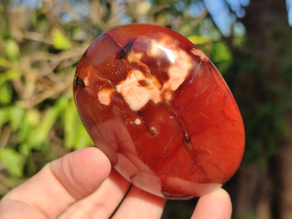 Polished Carnelian Agate Gemstone Galets x 6 From Madagascar - Toprock Gemstones and Minerals 