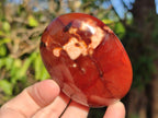 Polished Carnelian Agate Gemstone Galets x 6 From Madagascar - Toprock Gemstones and Minerals 