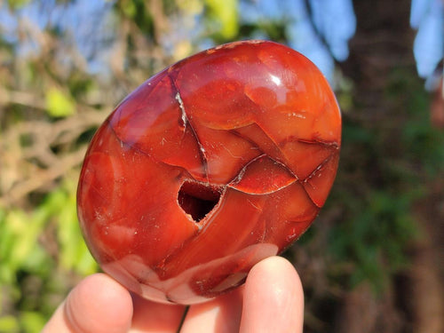 Polished Carnelian Agate Gemstone Galets x 6 From Madagascar - Toprock Gemstones and Minerals 