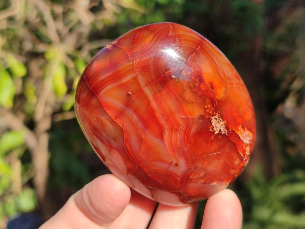 Polished Carnelian Agate Gemstone Galets x 6 From Madagascar - Toprock Gemstones and Minerals 