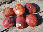 Polished Carnelian Agate Gemstone Galets x 6 From Madagascar - Toprock Gemstones and Minerals 