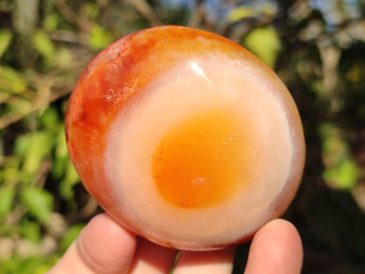 Polished Carnelian Agate Gemstone Galets x 6 From Madagascar - Toprock Gemstones and Minerals 