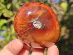 Polished Carnelian Agate Gemstone Galets x 6 From Madagascar - Toprock Gemstones and Minerals 