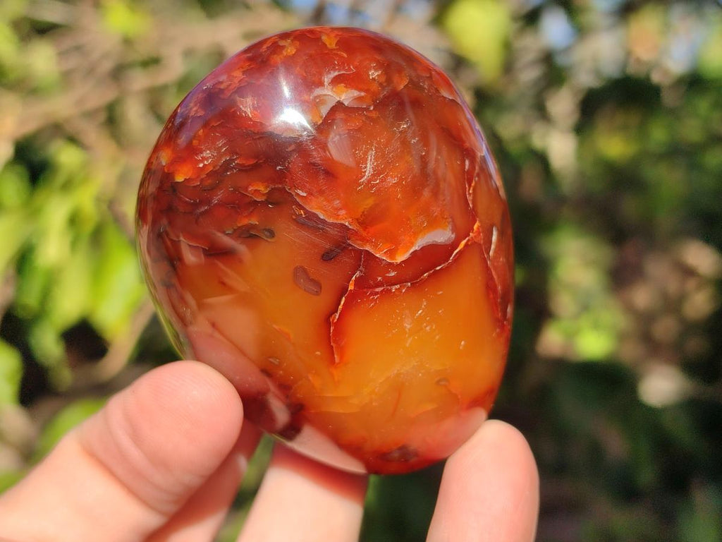 Polished Carnelian Agate Gemstone Galets x 6 From Madagascar - Toprock Gemstones and Minerals 