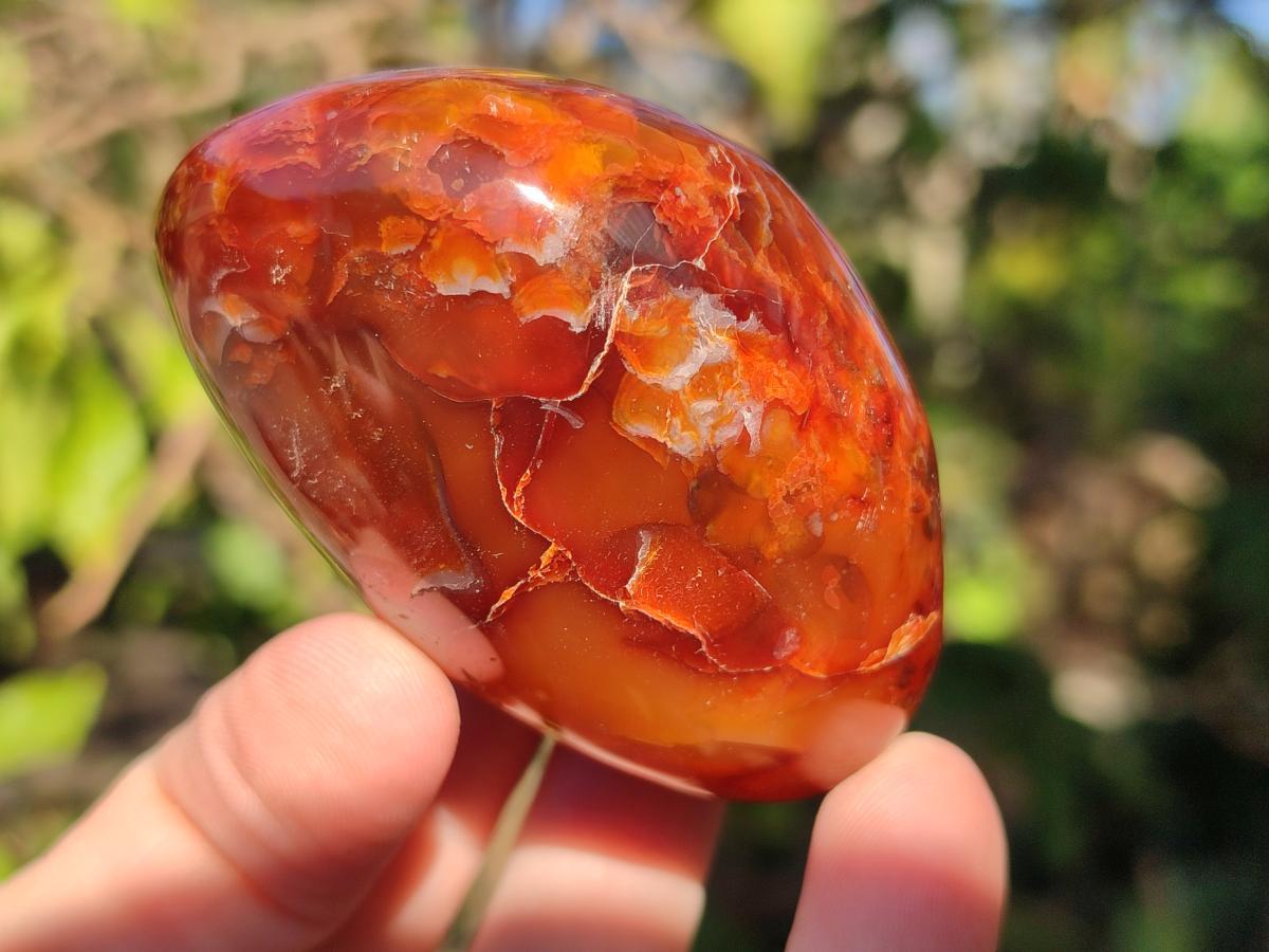 Polished Carnelian Agate Gemstone Galets x 6 From Madagascar - Toprock Gemstones and Minerals 