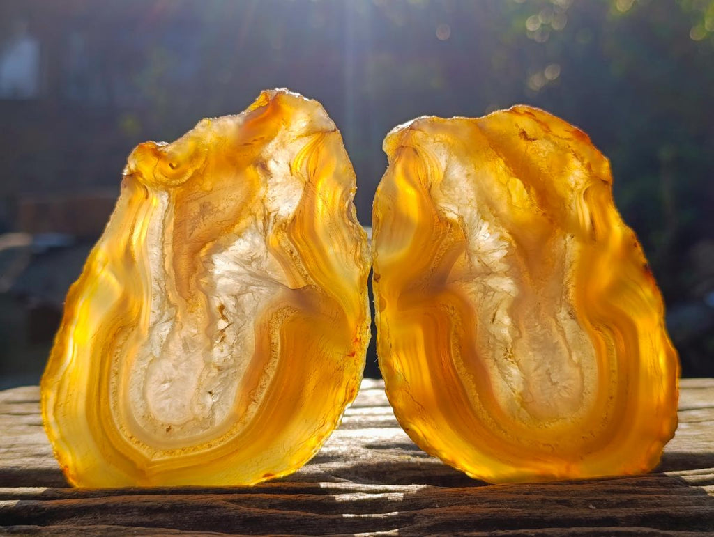 Polished Banded Agate Slices with Natural Edging x 12 From Madagascar - Toprock Gemstones and Minerals 