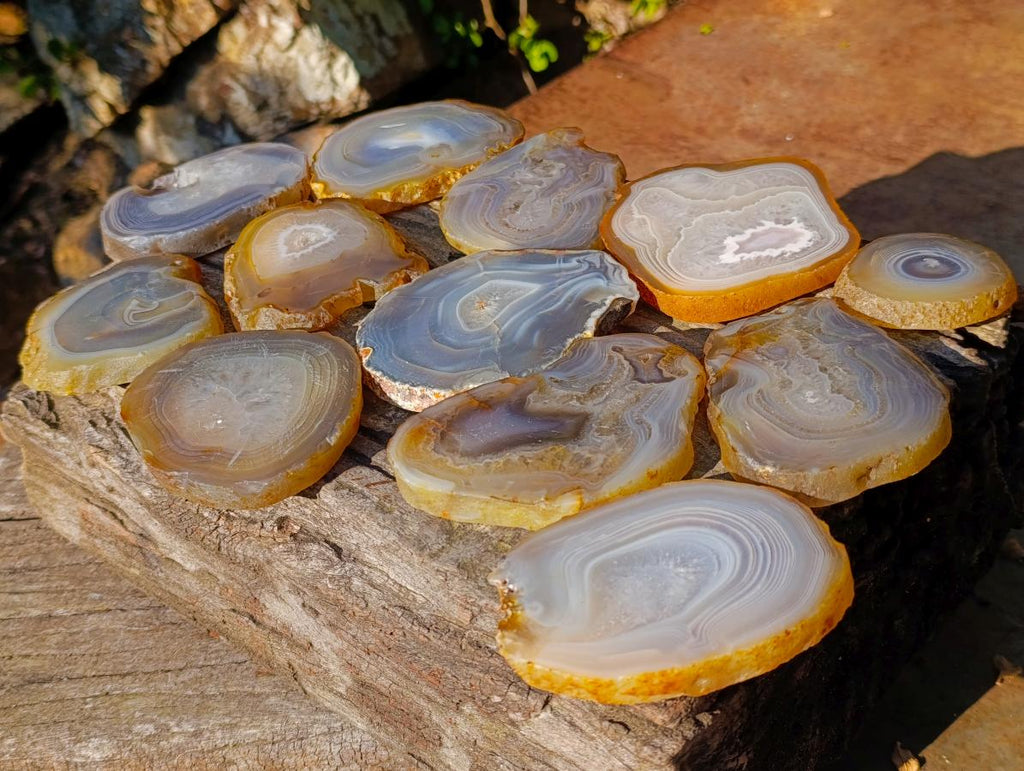 Polished Banded Agate Slices with Natural Edging x 12 From Madagascar - Toprock Gemstones and Minerals 
