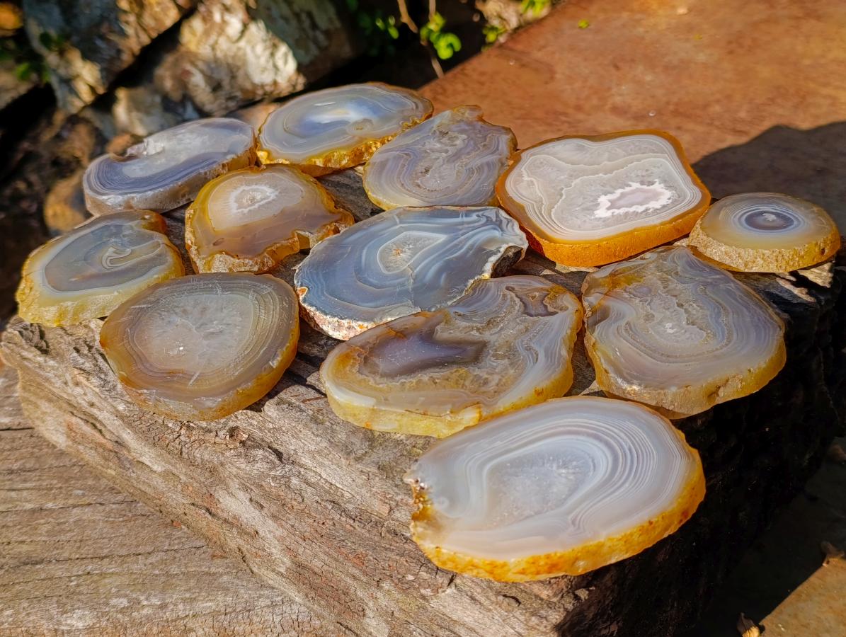 Polished Banded Agate Slices with Natural Edging x 12 From Madagascar - Toprock Gemstones and Minerals 