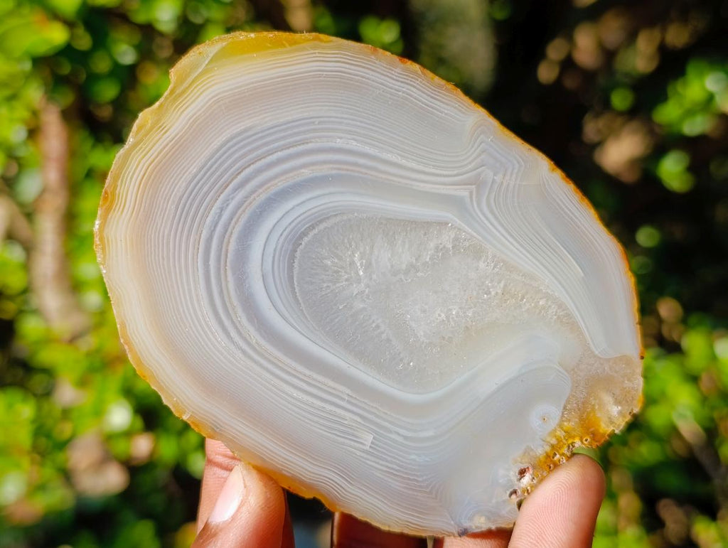 Polished Banded Agate Slices with Natural Edging x 12 From Madagascar - Toprock Gemstones and Minerals 