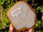 Polished Banded Agate Slices with Natural Edging x 12 From Madagascar - Toprock Gemstones and Minerals 