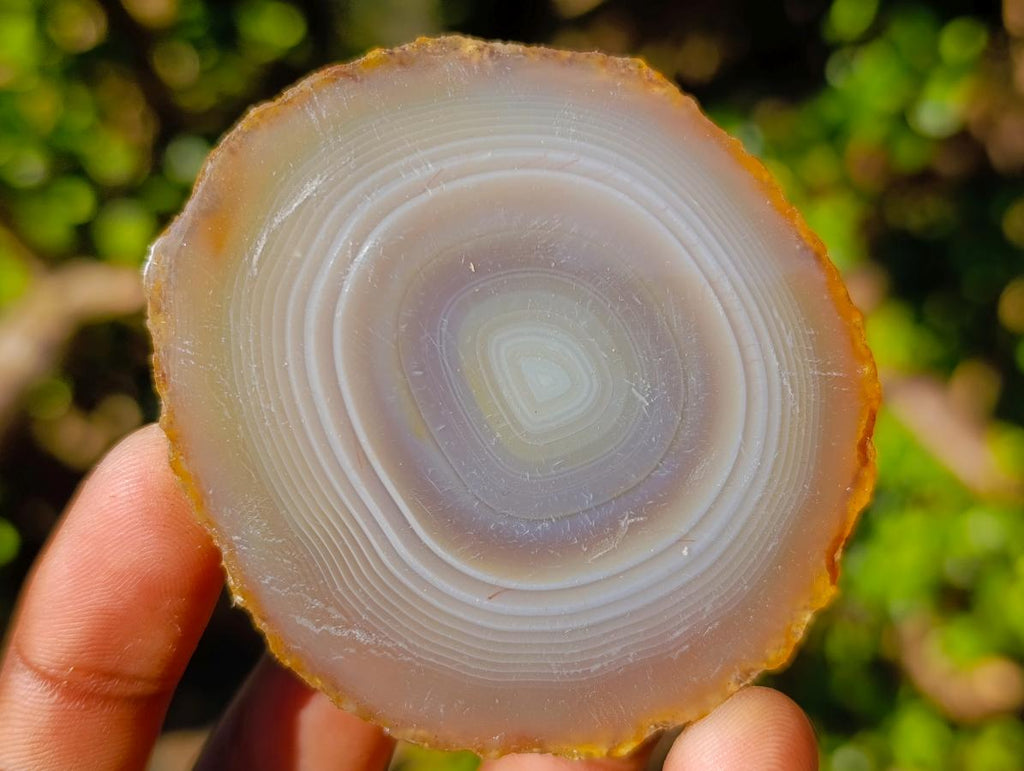 Polished Banded Agate Slices with Natural Edging x 12 From Madagascar - Toprock Gemstones and Minerals 