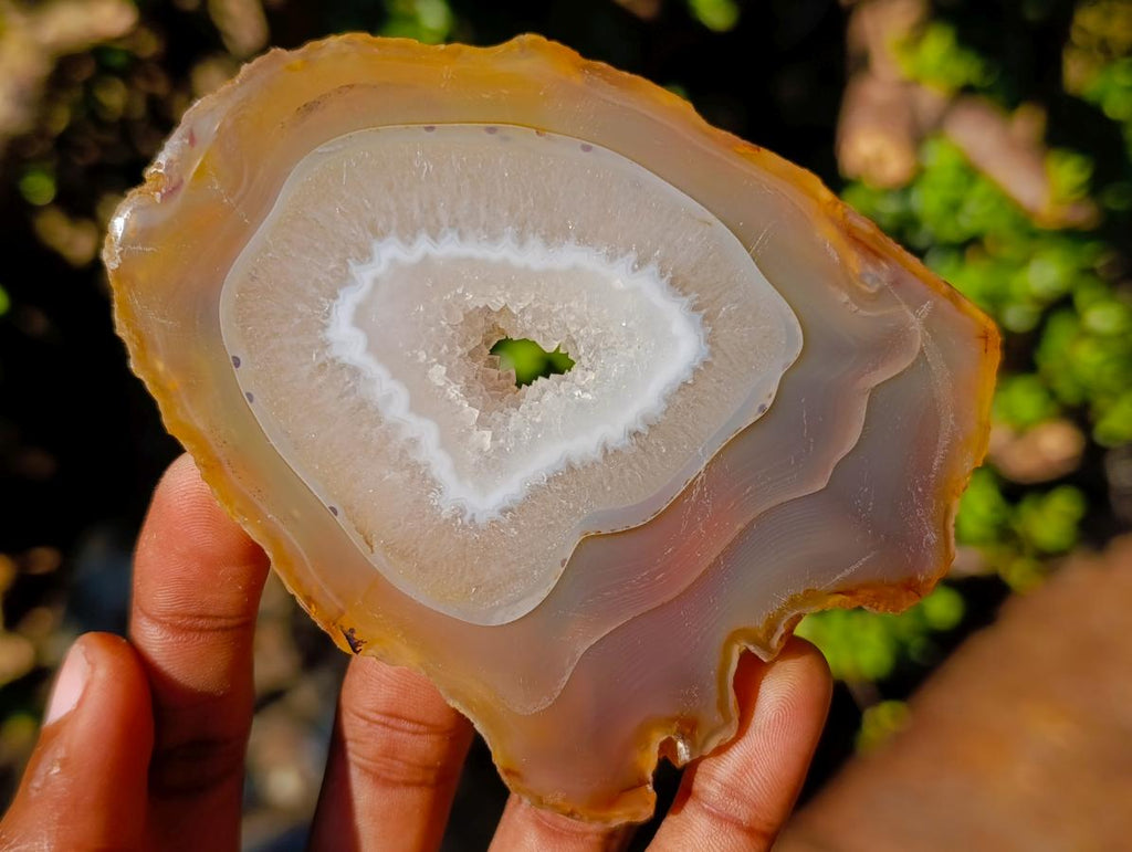 Polished Banded Agate Slices with Natural Edging x 12 From Madagascar - Toprock Gemstones and Minerals 
