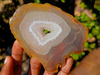 Polished Banded Agate Slices with Natural Edging x 12 From Madagascar - Toprock Gemstones and Minerals 