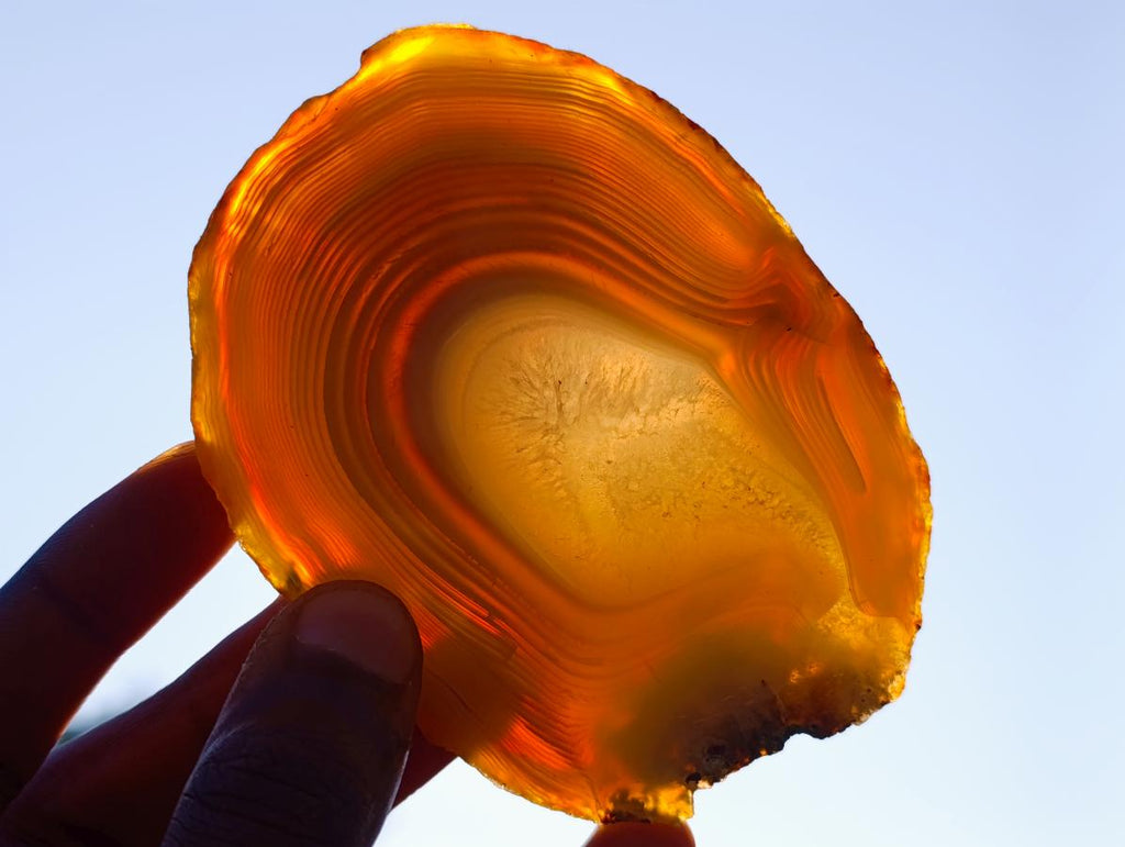 Polished Banded Agate Slices with Natural Edging x 12 From Madagascar - Toprock Gemstones and Minerals 