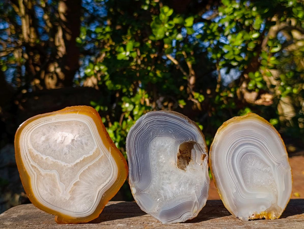 Polished Banded Agate Slices with Natural Edging x 12 From Madagascar - Toprock Gemstones and Minerals 