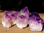 Natural Mini Amethyst Clusters x 70 From Ambatondrazaka, Madagascar - Toprock Gemstones and Minerals 