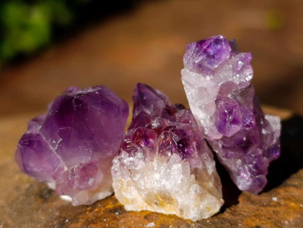 Natural Mini Amethyst Clusters x 70 From Ambatondrazaka, Madagascar - Toprock Gemstones and Minerals 