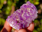 Natural Mini Amethyst Clusters x 70 From Ambatondrazaka, Madagascar - Toprock Gemstones and Minerals 