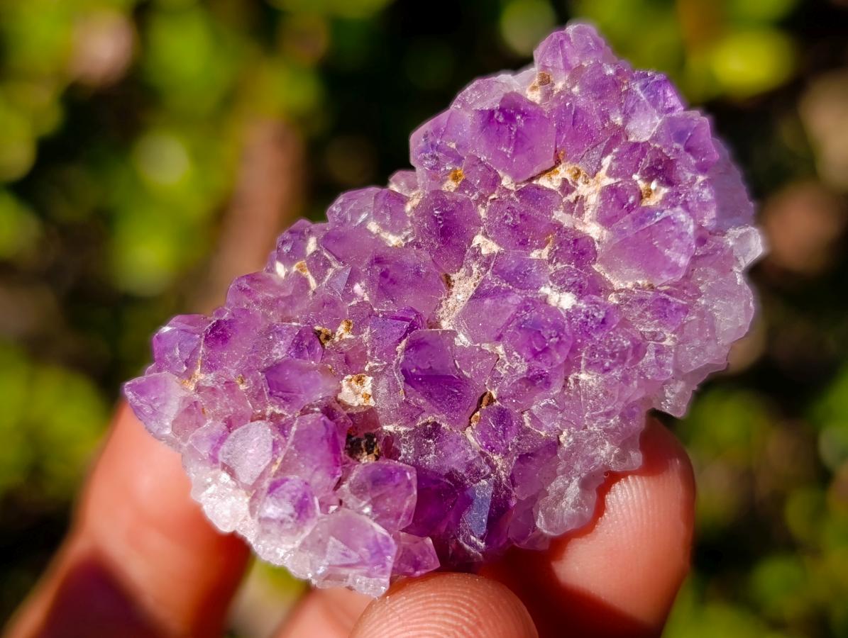 Natural Mini Amethyst Clusters x 70 From Ambatondrazaka, Madagascar - Toprock Gemstones and Minerals 