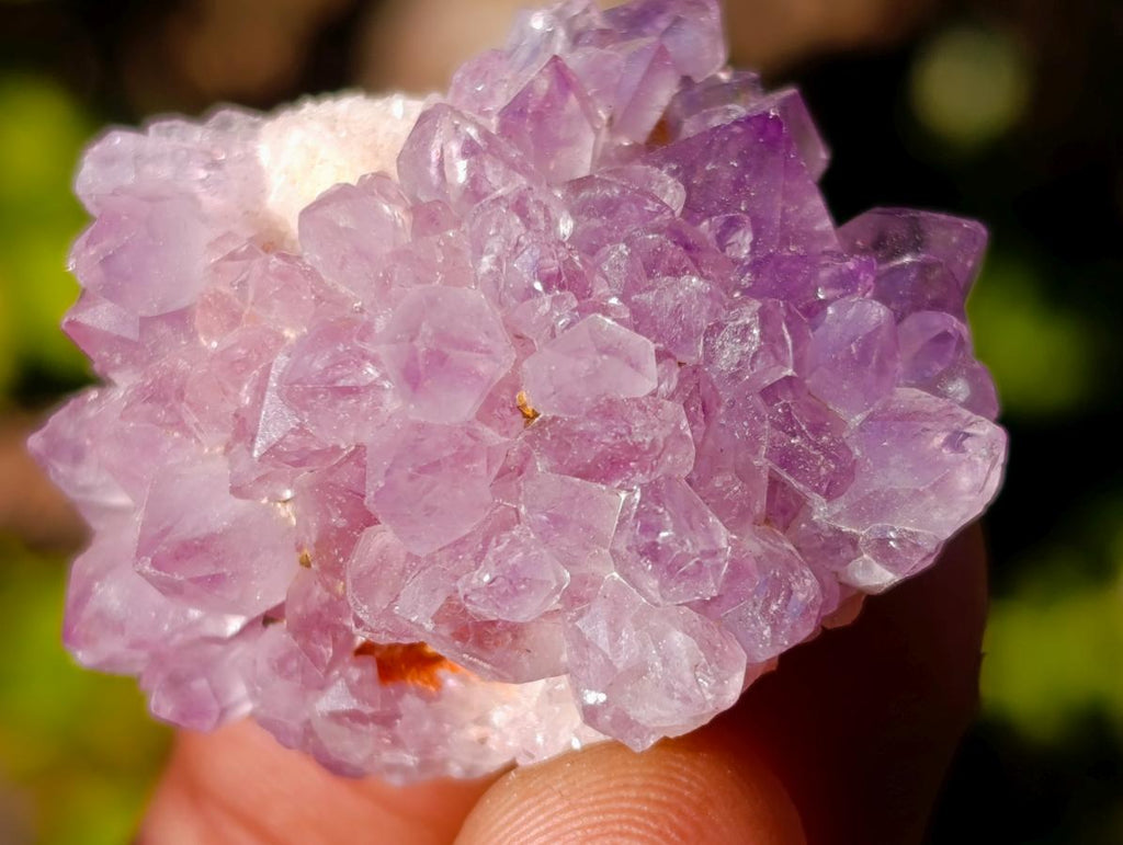 Natural Mini Amethyst Clusters x 70 From Ambatondrazaka, Madagascar - Toprock Gemstones and Minerals 