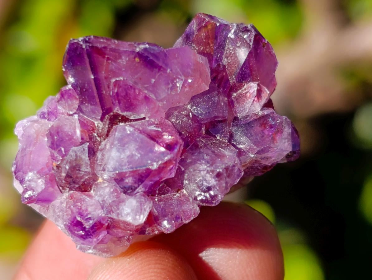 Natural Mini Amethyst Clusters x 70 From Ambatondrazaka, Madagascar - Toprock Gemstones and Minerals 