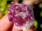 Natural Mini Amethyst Clusters x 70 From Ambatondrazaka, Madagascar - Toprock Gemstones and Minerals 